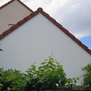 compressed-image (5)